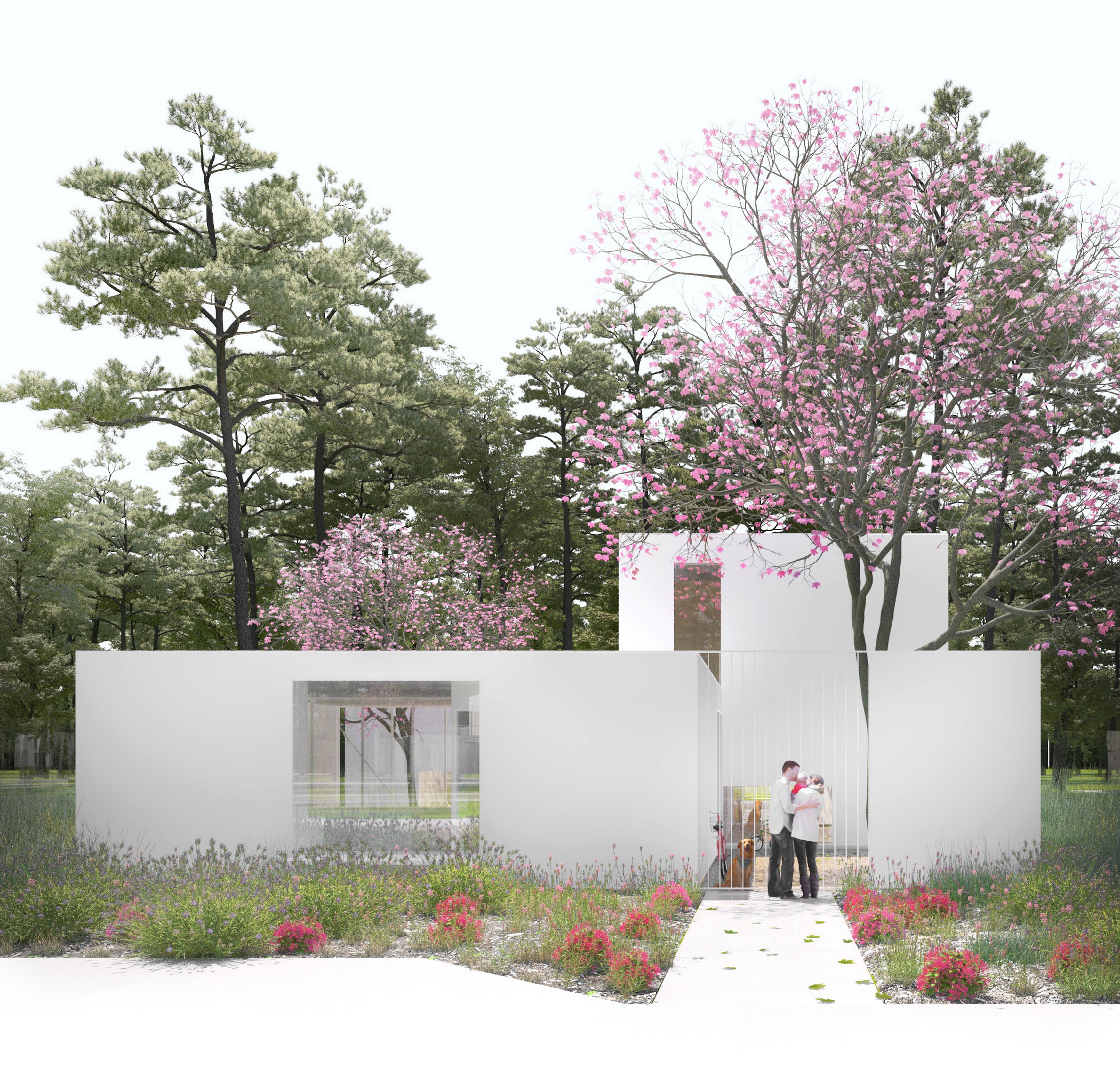 Casa DV, Locuinta unifamiliala. Imagine cu fatada principala a casei si vegetatie